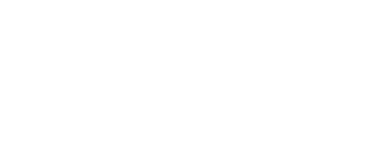 Digital Development